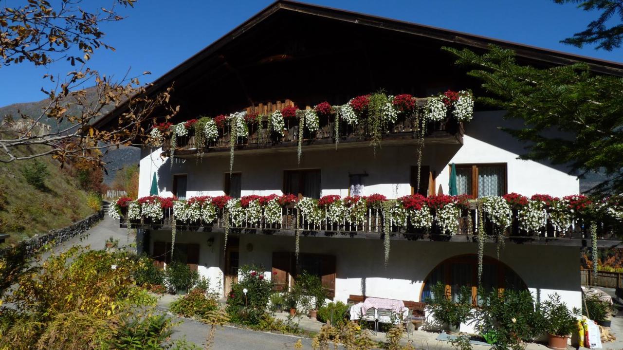 Schlosshof Zu Montani Morter Exterior photo